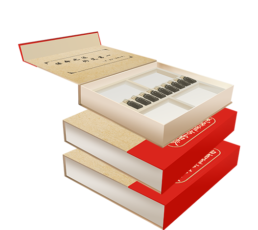 中贞艾品牌建设