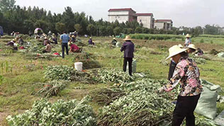 中经堂题记